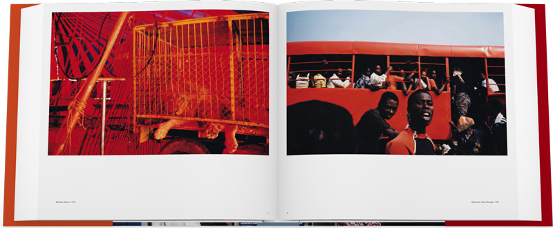 现货【保证正版】韦伯:光之苦 Alex Webb:The Suffering of Light: Thirty Years of Photographs by Alex Webb 华源时空 - 图1