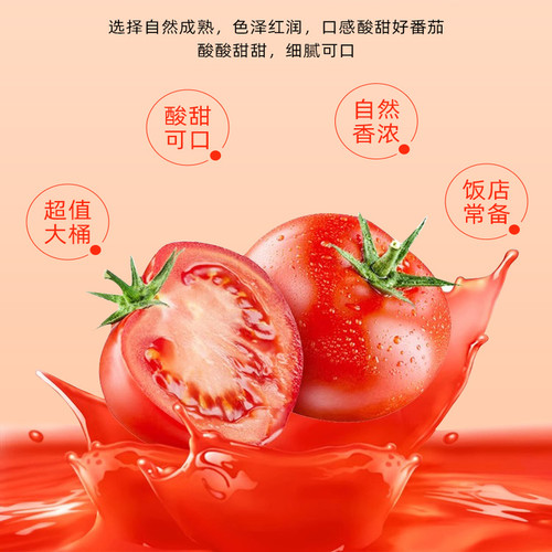 亿森 番茄沙司3kg番茄酱手抓饼薯条披萨酱意大利面酱薯条沙拉 - 图0