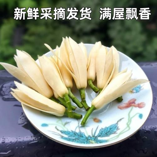 新鲜白玉兰花白兰花浓香持久黄角兰花苞泡酒黄果兰现摘白玉兰鲜花 - 图2
