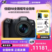 (self-employed) Canon Canon R8 Full painting Professional Microsingle 4K Camera HD Tourism Digital r8 Live
