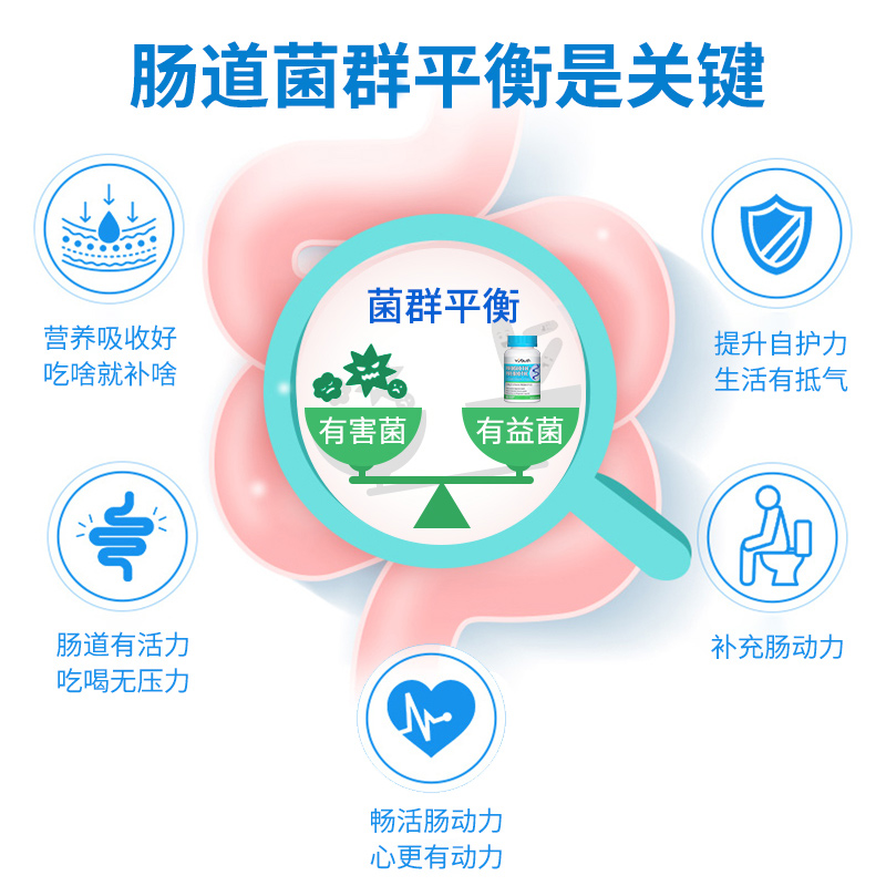 【自营】美国进口维养思益生菌肠道成人调理养胃60粒/瓶大人复合