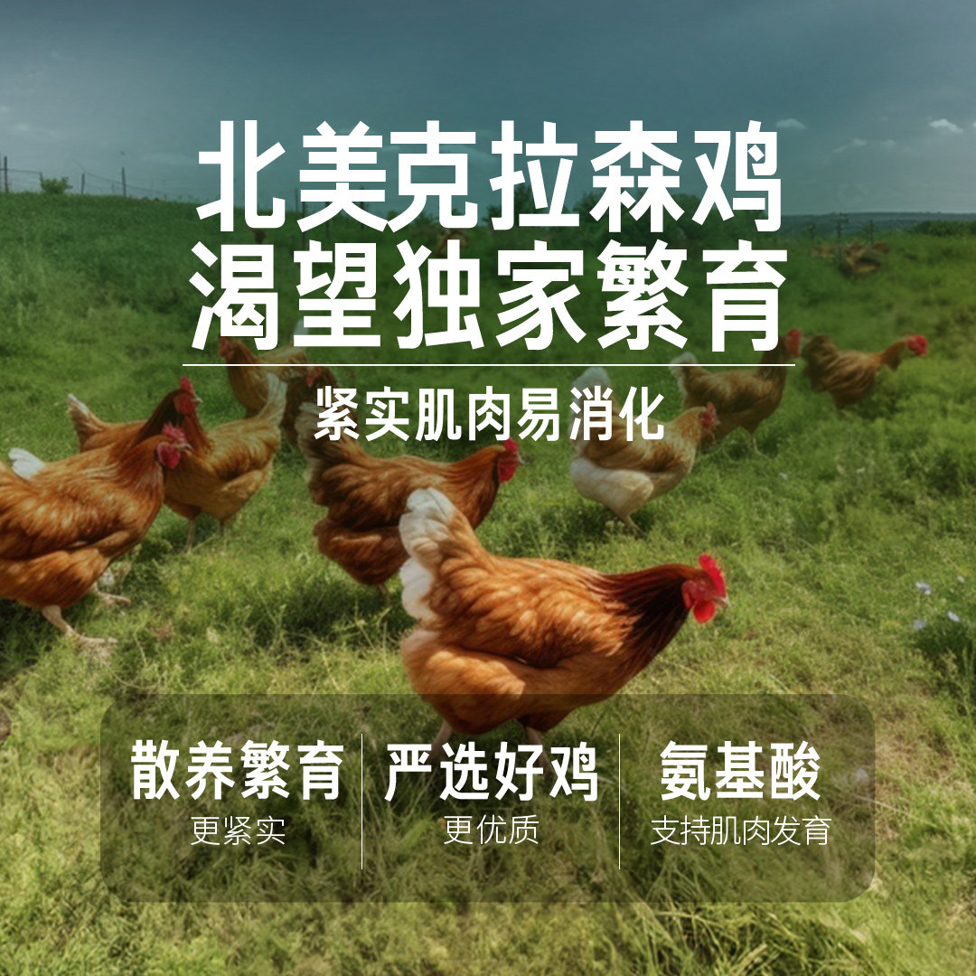 【自营】原始渴望进口原味无谷成猫幼猫鸡肉天然猫粮5.4KG