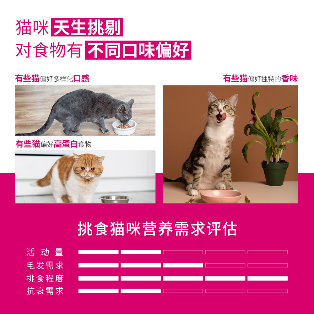 【自营】法国皇家挑嘴成猫全价粮-肠道舒适型 EP42 2KG