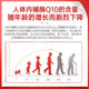 ສະວິດເຊີແລນ ອົດສະຕຣາລີ cerebrovascular coenzyme q10