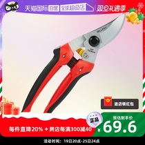 Native History Tension Sellery Horticultural Fruit Tree Moonmoon Season Twigs Scissors Pruned Branches Cut Gardening Sheared Trim Styling