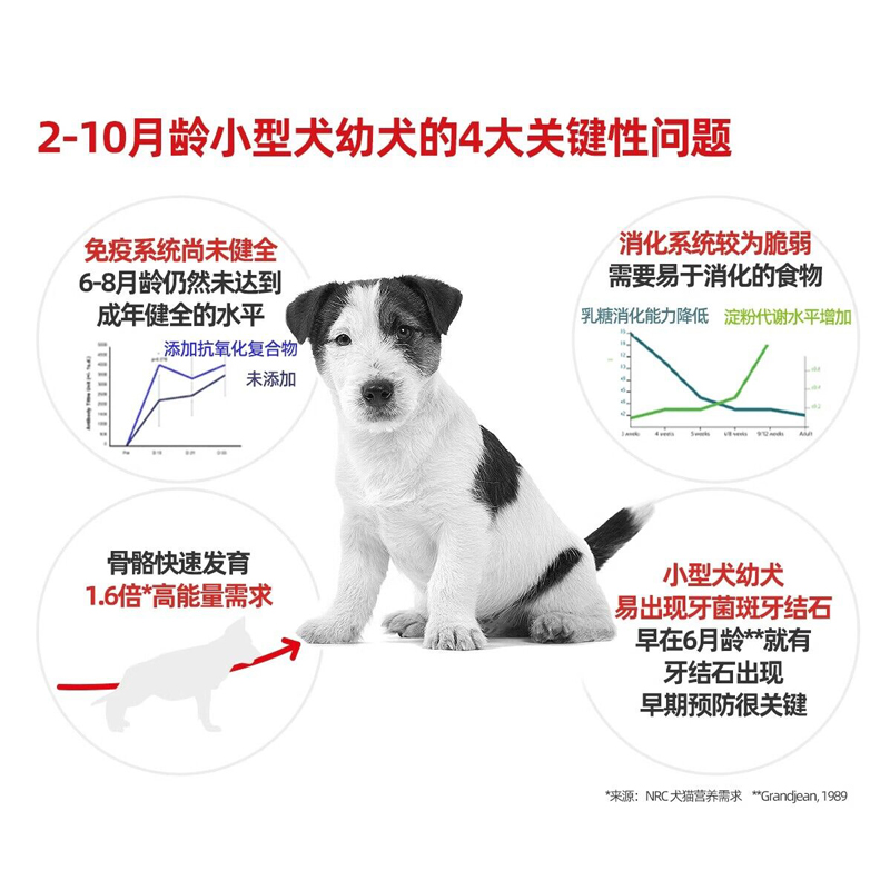 【自营】皇家狗粮官方mij31幼犬粮2kg小型犬比熊宠物奶糕粮干粮