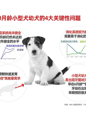 皇家官方mij31宠物通用幼犬粮