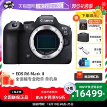 (self-employed) Canon EOS R6 Mark II R6 2 Professional full painting amplitude micro-single-phase machine R6 2nd generation