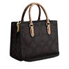 Coach Printed Handbag Crossbody Bag