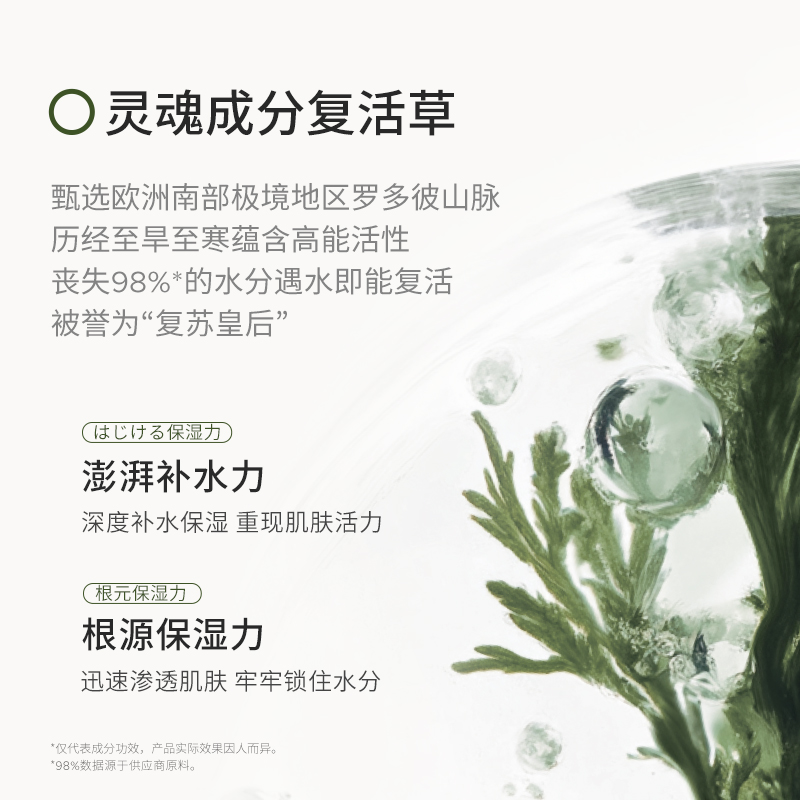 【自营】国内现货 苾莱宝复活草面膜175g补水保湿修护涂抹面膜1.0