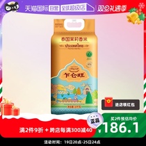 (self-employed) at first chalanwan original imported thai jasmine rice 10kg silver loaded thai rice 20 catty