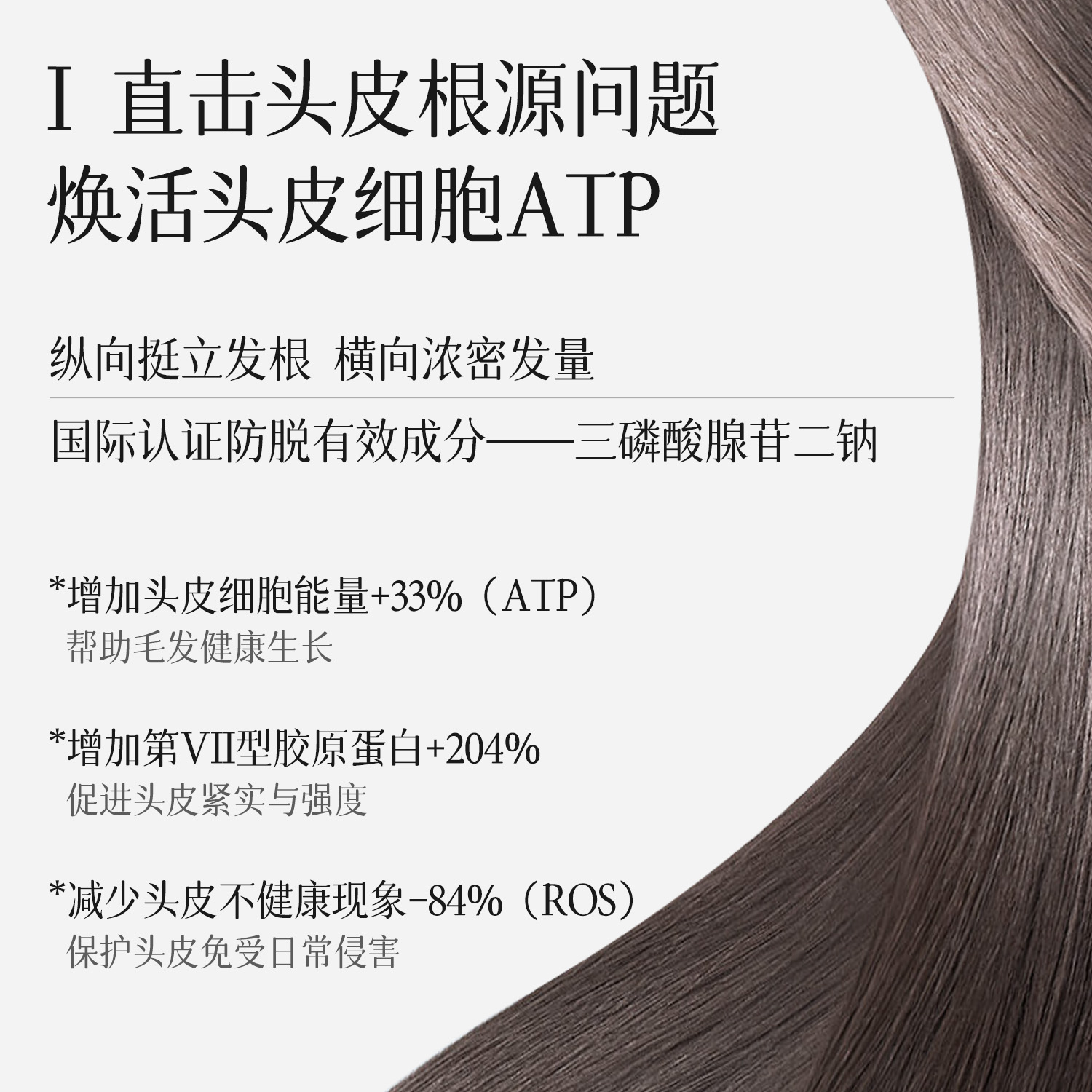 安享好物 安享S级洗发水-NOUGAT防脱洗发水