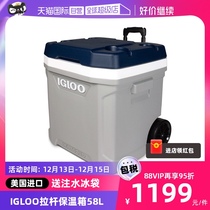 (self-employed) IGLOO pull rod insulated box cold chain transport medical reagent outdoor ice bucket 58L ice bag