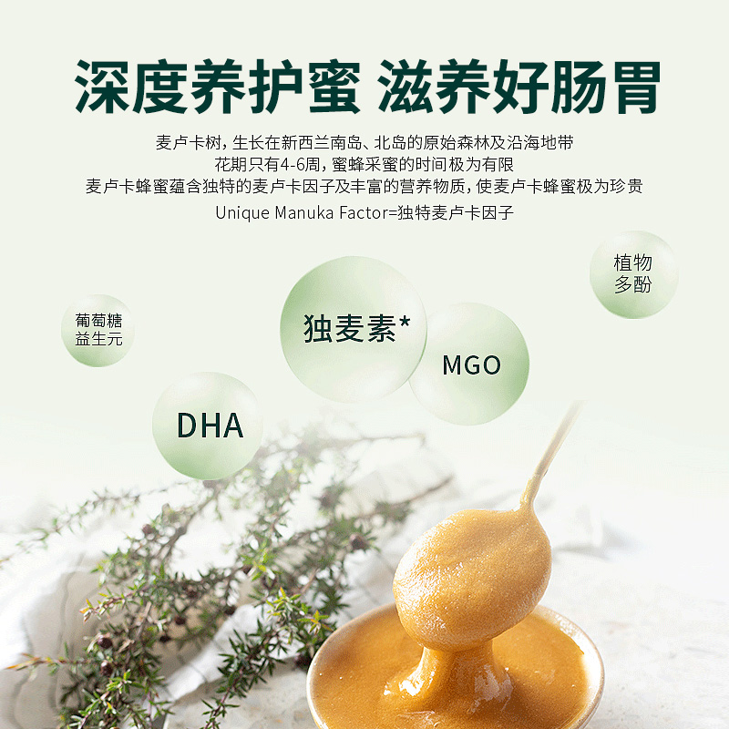 【自营】蜂蜜纯正天然康维他麦卢卡UMF15+蜂蜜250g*2瓶新西兰进口 - 图0