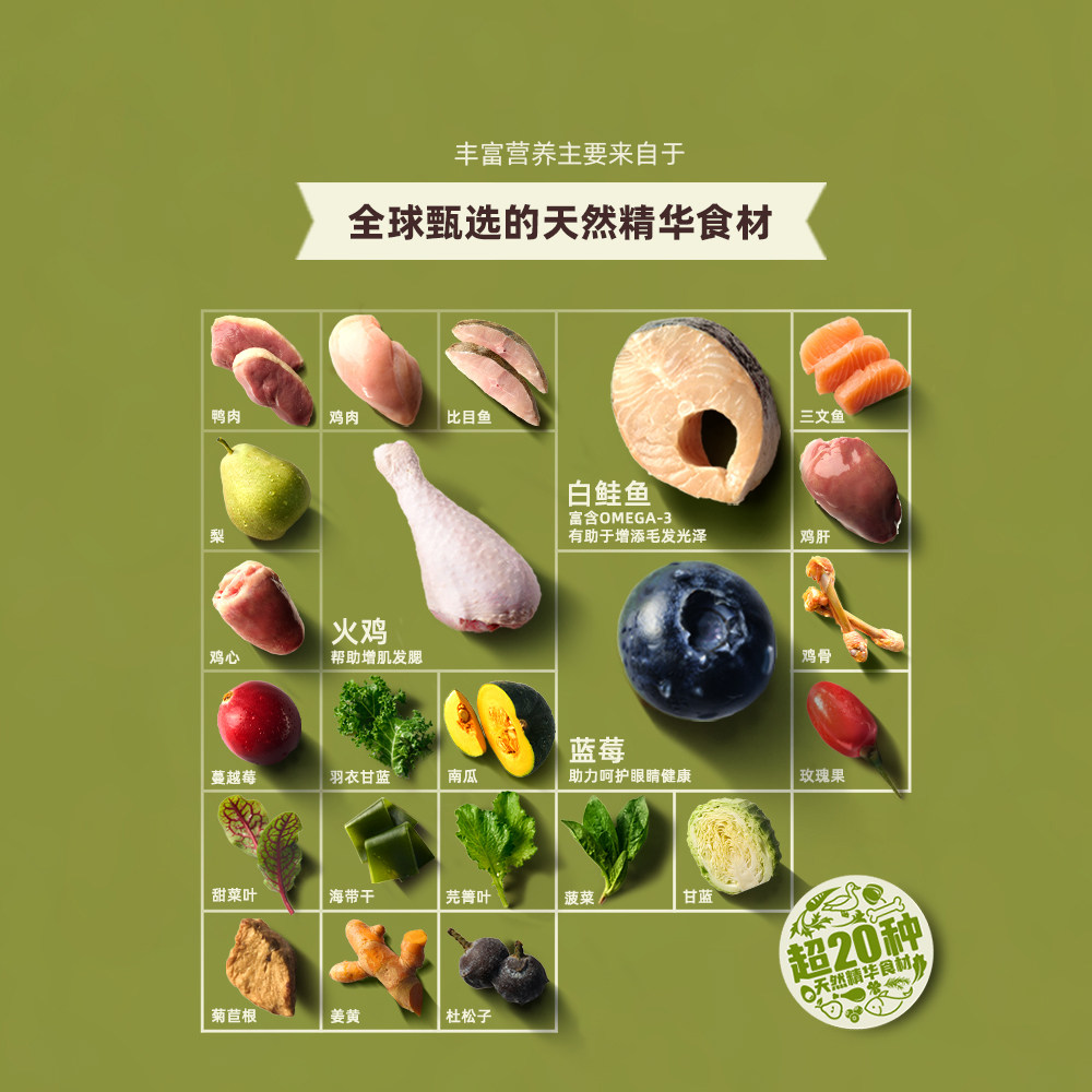 【自营】爱肯拿鸡肉猫粮进口成幼猫牧场盛宴猫粮4.5KG