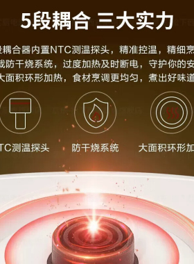松下养生壶电煮茶水壶家用多功能