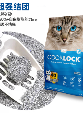 Odorlock/晶乐客进口猫砂13磅