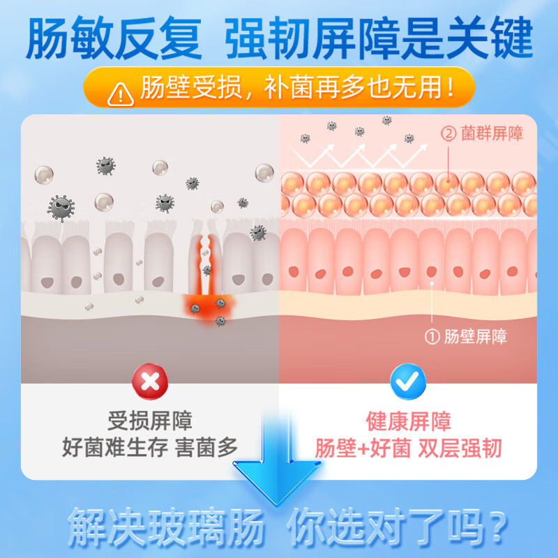 【自营】舒伯特肠博士氨基酸益生菌调理肠胃谷氨酰胺IBS肠易激漏 - 图0