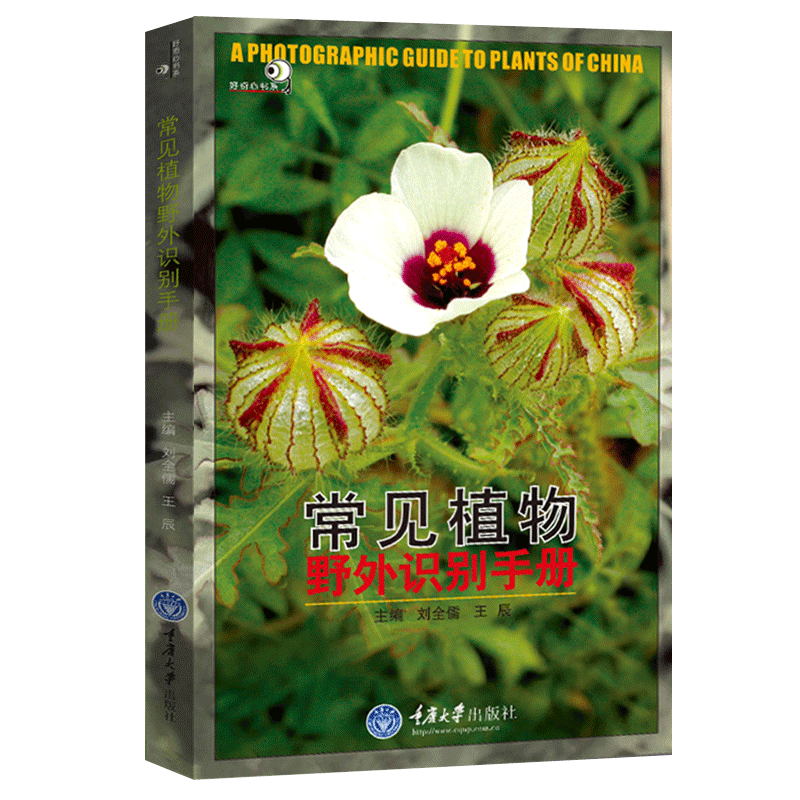 石竹花盆栽包邮推荐品牌 新人首单立减十元 21年6月 淘宝海外
