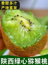 Goosebumps Shaanxi Week To Now Pick Up Green Hearts Should Season Fresh Fruit Chic Exotic Fruits Bad Fruit Bag Odds