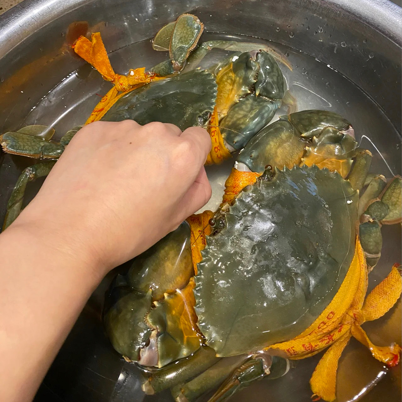 四只装鲜活特大青蟹菜鲟野生大螃蟹肉蟹生腌蟹海鲜礼盒顺丰空运 - 图0