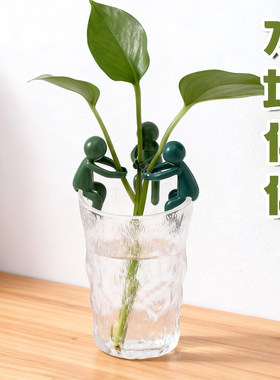 水培植物扶正扶枝固定造型