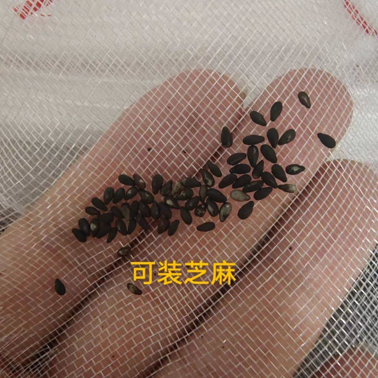 晾晒风干豆角丝干萝卜丝干蘑菇干菜干辣椒腊肉火腿透气防虫纱网袋,淘宝优惠券,粉丝福利购,淘宝优惠卷