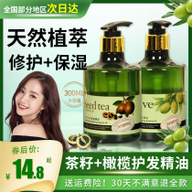 Olive tea seed hair care essential oil girl pregnant woman available to improve hair hairy special woman fragrant hair oil