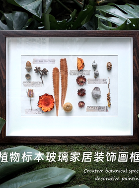 植物标本立体画框家居样板间装饰