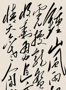 毛体书法七律人民解放军占领南京