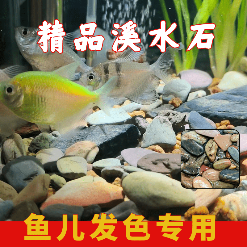 原生缸溪流沙精品雨林沙底砂天然溪流石南美缸雷龙鱼水草装饰河沙 - 图0