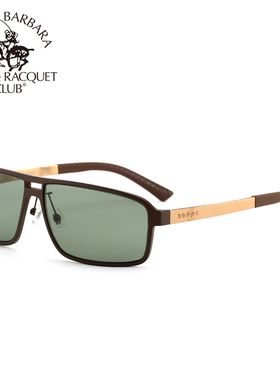 墨镜彩膜方框偏光镜