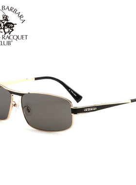 墨镜偏光小框太阳镜