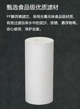 前置过滤器滤芯净水器大白瓶滤芯