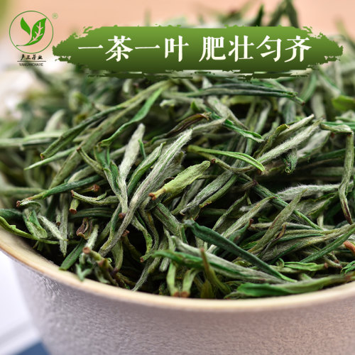 严三茶叶2026新茶明前绿茶安徽特产汤池小兰花茶野茶袋装250g - 图0