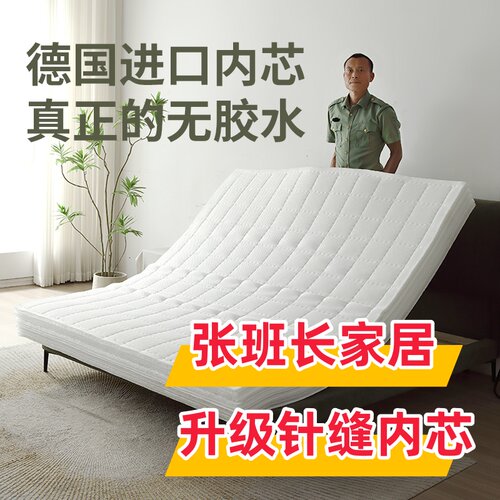 3d空气纤维床垫可水洗透气防潮家用席梦思4D5d6d儿童榻榻米垫定制 - 图0