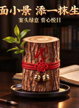 【雷击香龙木】会发芽的木头摆件