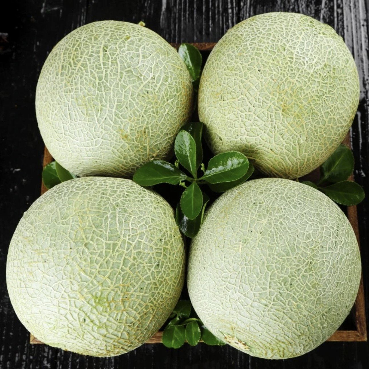 山东玫珑网纹蜜瓜网格瓜新鲜绿心哈密瓜应当季水果时令冰淇淋口感,淘宝优惠券,粉丝福利购,淘宝优惠卷