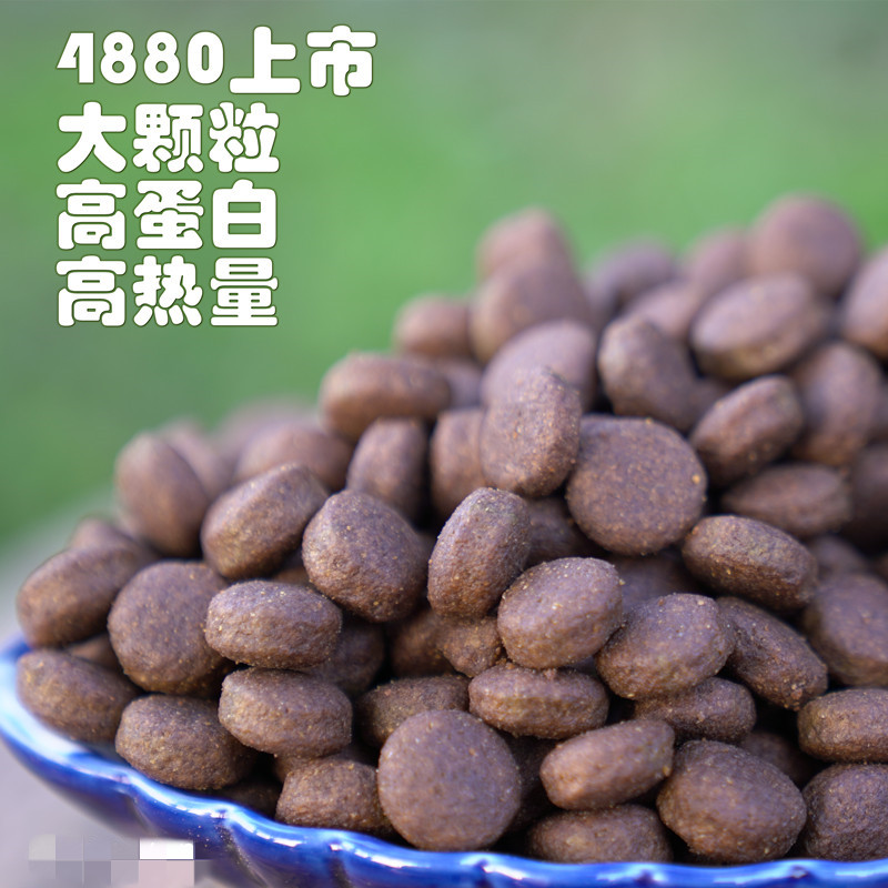 赛顶之尖狗粮4800配方格力犬灵缇犬慧比特猎兔犬细狗4880狗粮10kg - 图0