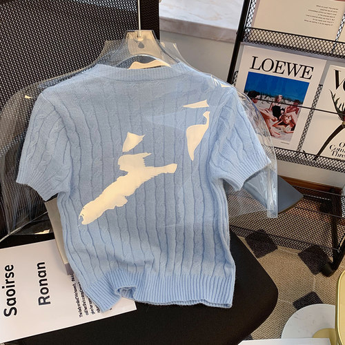 捡漏~出口外贸尾货女装雾霾蓝短袖针织衫T恤小香风法式短款上衣夏 - 图0