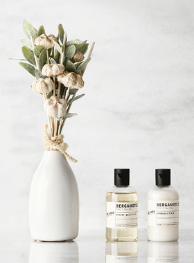 迦乐进口永生植物香薰装饰