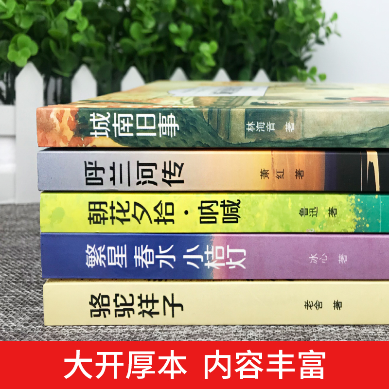 全5册城南旧事正版林海音小学生版四五六年级呼兰河传萧红著骆驼祥子老舍完整版下册阅读的朝花夕拾繁星春水原著书课外阅读书籍-图1