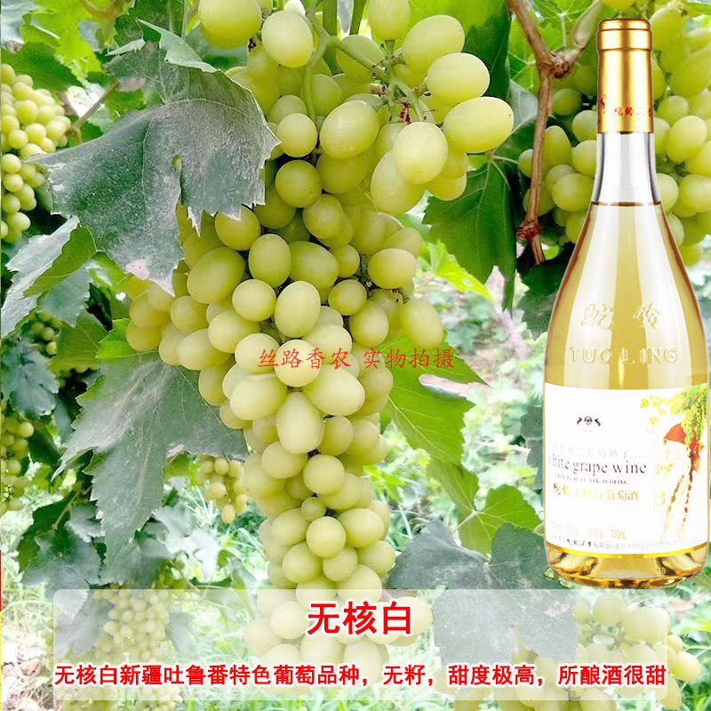 新疆驼铃无核白甜白葡萄酒10度750ml整箱6支不酸涩清甜爽口好喝_虎窝淘