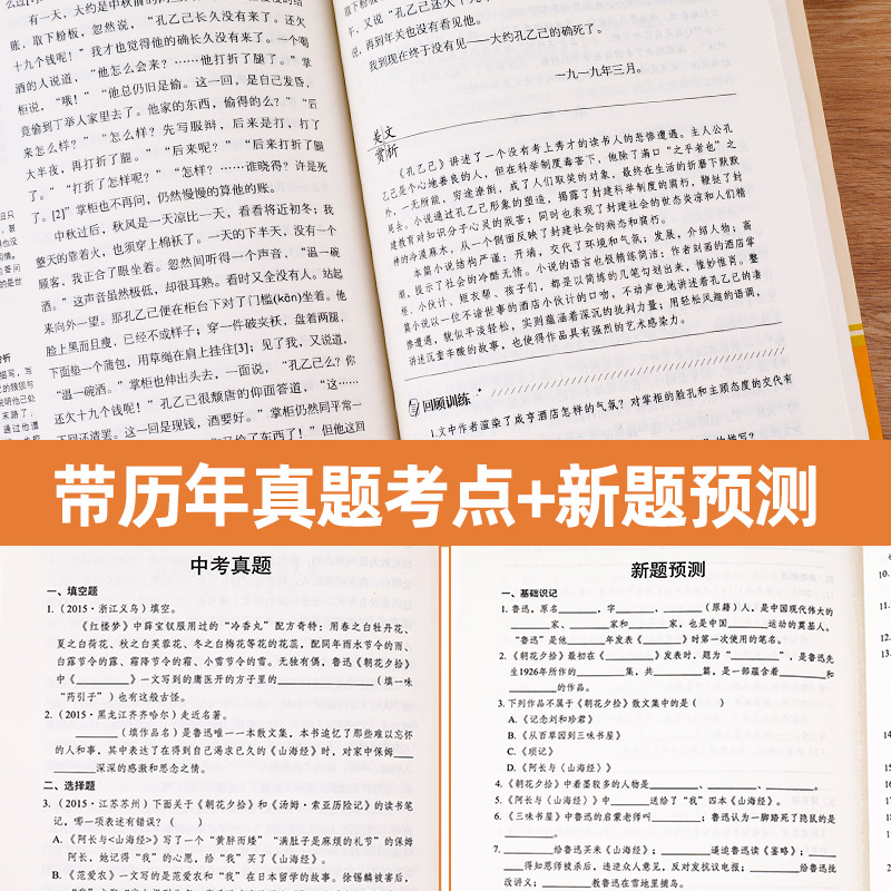 全套12册 初中必读名著十二本正版课外阅读书籍读物七八九年级上册下册初一初二初三语文书目考点导读人教版初中生中考适合看的书 - 图2