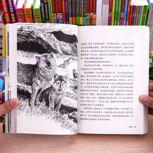 【学校指定】狼王梦沈石溪正版包邮动物小说全集全套全本漫画版小学生课外阅读书籍浙江少年儿童出版社三四五六年级必读课外书-图1