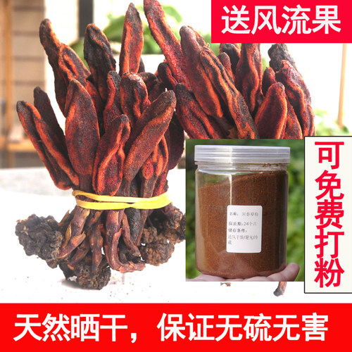 云南回春草不老草500g草苁蓉顶天柱回阳草虎鞭草补男肾泡酒水滋补 - 图1