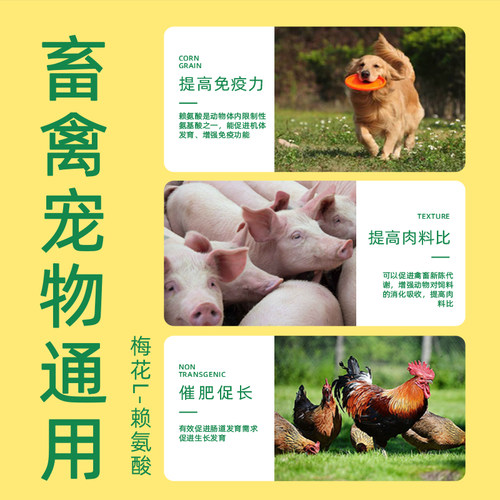 赖氨酸兽用猪用饲料添加剂牛羊促长氨基酸水产宠物狗猫禽鸡鱼鸽子 - 图0