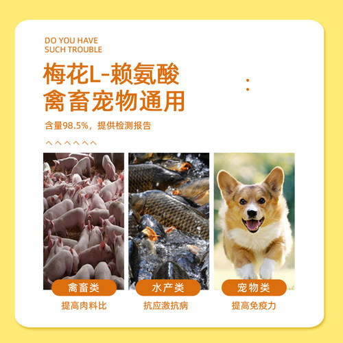 赖氨酸兽用猪用饲料添加剂牛羊促长氨基酸水产宠物狗猫禽鸡鱼鸽子 - 图1