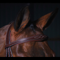 Water Le Belgium dyoin water Le Bull Peel Water Le Saddle Accessories Horse Furniture