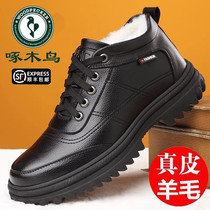 Woodpecker Male Shoes High Help Velvet Cotton Shoes Men Genuine Leather Wool Cotton Leather Shoes Soft Bottom Non-slip Snowy Boots Male daddy Shoe